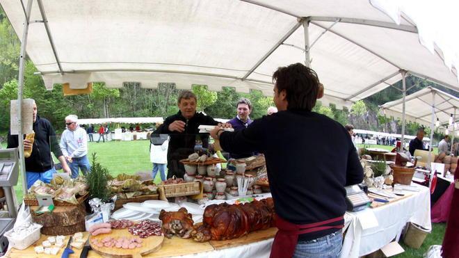 Pedalata tra gli ulivi con assaggi
