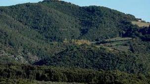 La centrale a biomasse traslocherà alla discarica