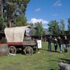 Una domenica di pienone all’Agrifiera 