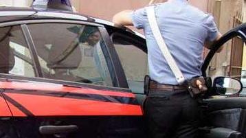 Ladre di griffe in azione a Marina