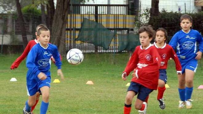 Parte il torneo Mosti, caccia ai piccoli campioni
