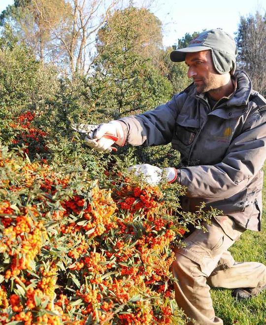 Operai agricoli, alt alle trattative 