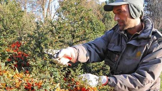 Operai agricoli, alt alle trattative