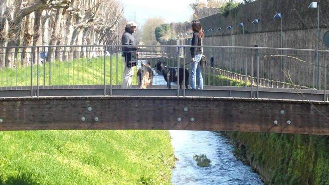 La pioggia riempie le falde, un mese di acqua in più