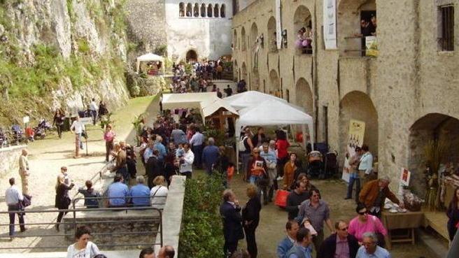Apre oggi Spino Fiorito vino, cultura e tradizioni