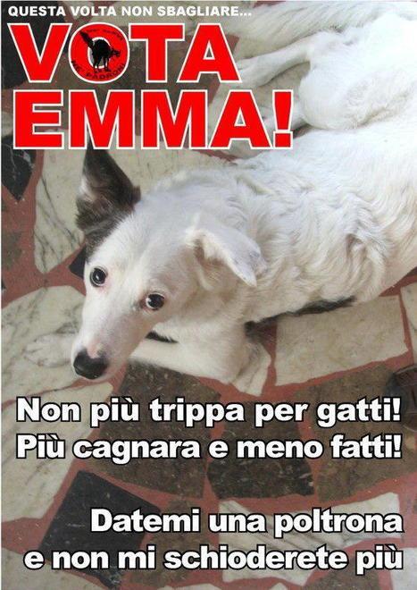 E fra i candidati ecco la cagnetta Emma