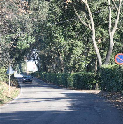 Topi d’appartamento in fuga per le grida di un pensionato 