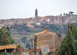 Investe una cagnetta con l’auto poi fugge via 