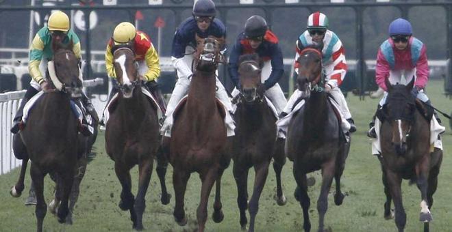 Ippica, Love Chain favorito a San Rossore 