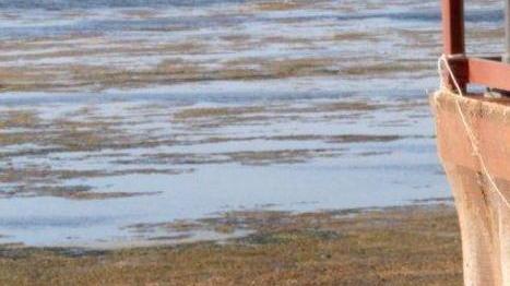 Laguna, ecco il piano alternativo proposto dal Wwf