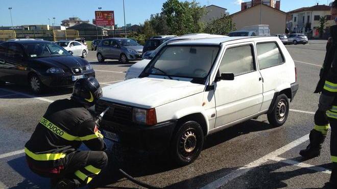 Panda va a fuoco vicino allo stadio