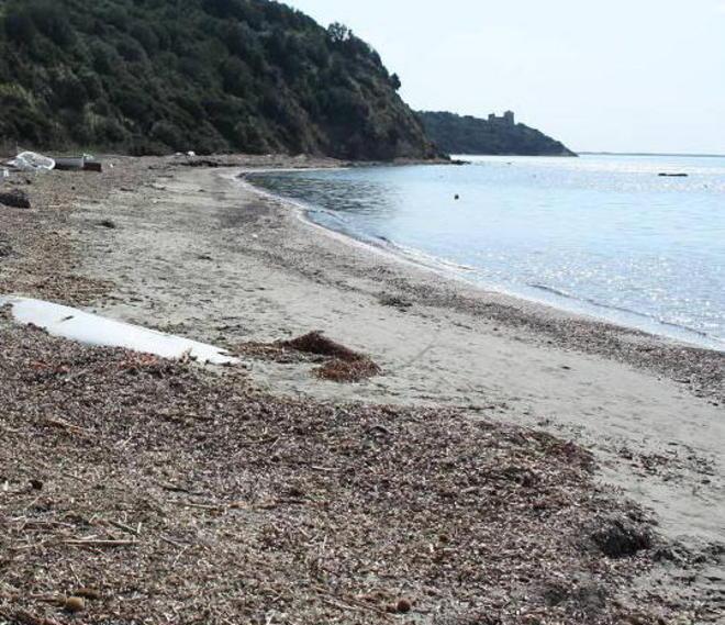 Ragazzi e adulti puliscono la spiaggia
