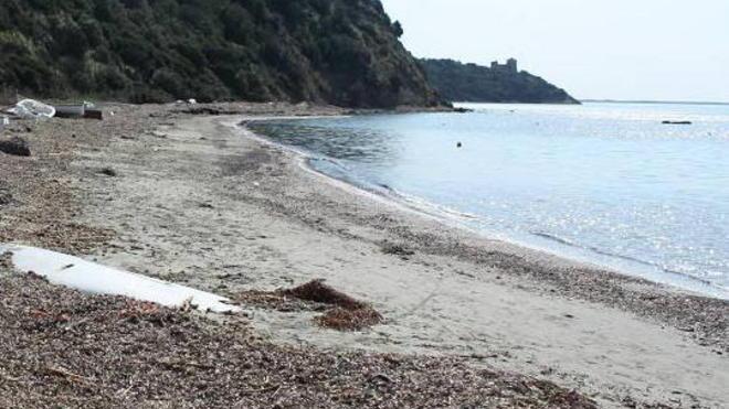 Ragazzi e adulti puliscono la spiaggia