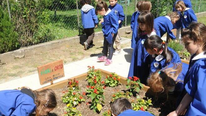 Fanno l’orto gli alunni della “Donatelli”