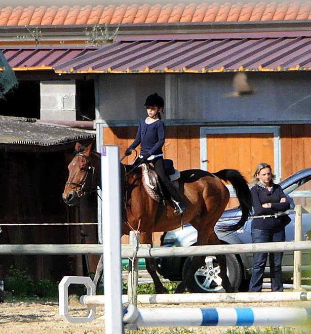 Blitz scopre stalle lager e cavalli malnutriti 