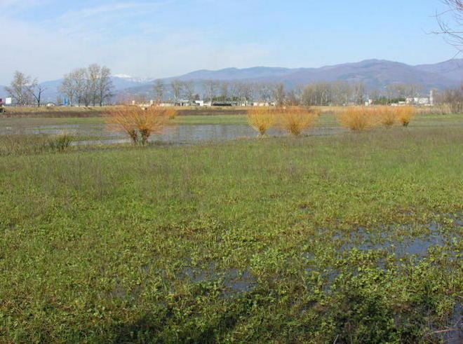 La salvaguardia degli stagni della piana 