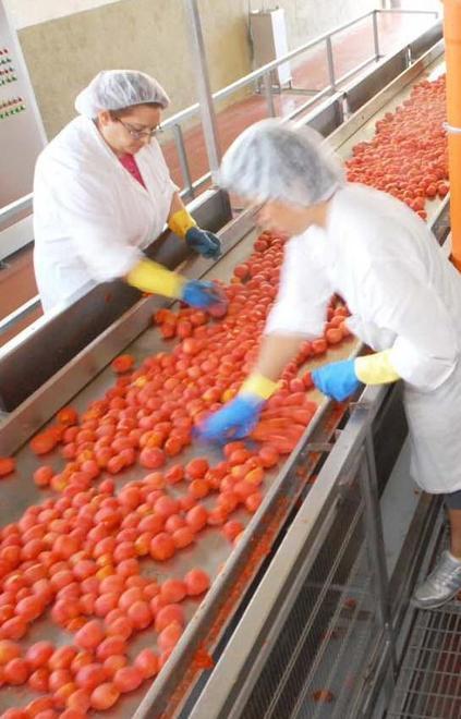 «Italian Food, trasloco e sviluppo» 