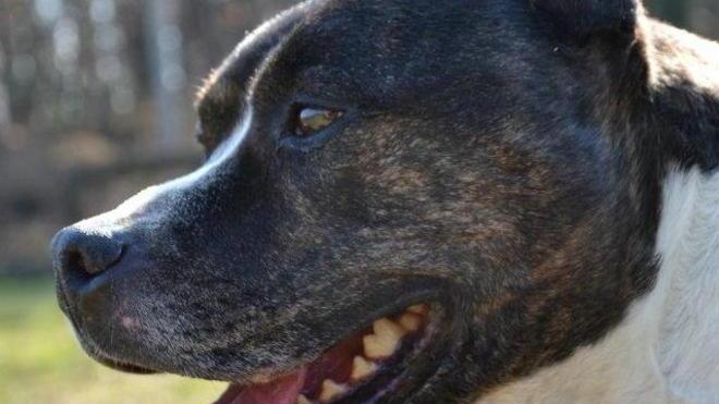 Duncan è pronto per tornare in famiglia