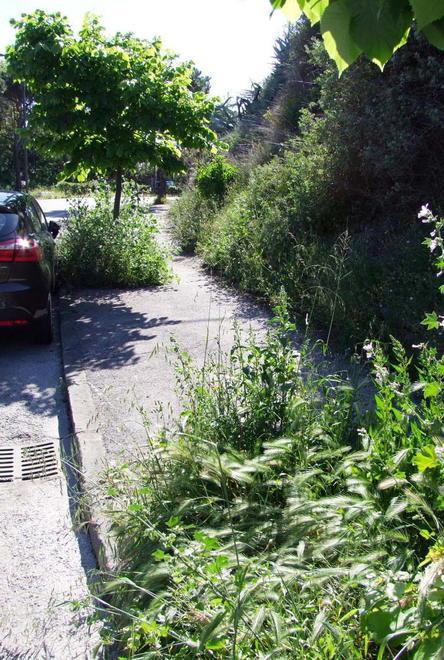 Erba alta sui marciapiedi e strada bloccata dalle auto 