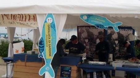 Buon afflusso agli stand della Festa della palamita