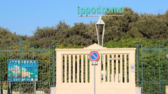 Caprilli, Alfea interessata solo per sei mesi