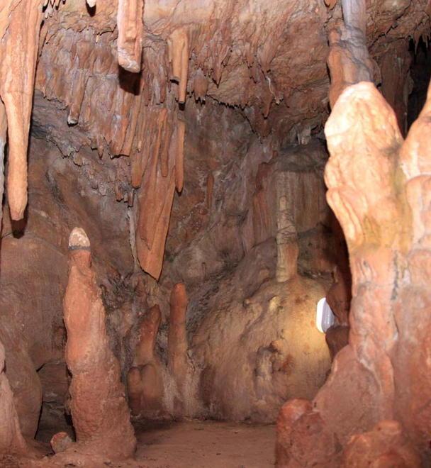 «Alunni gratis a Grotta Maona» 