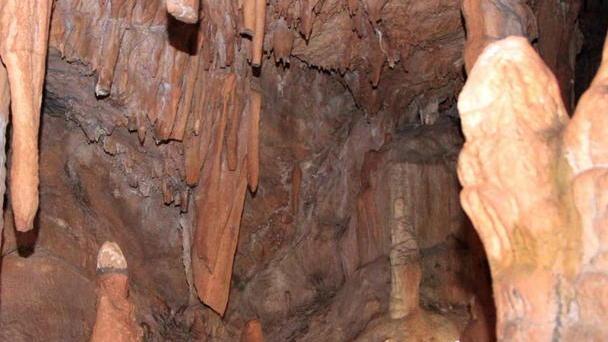 «Alunni gratis a Grotta Maona»