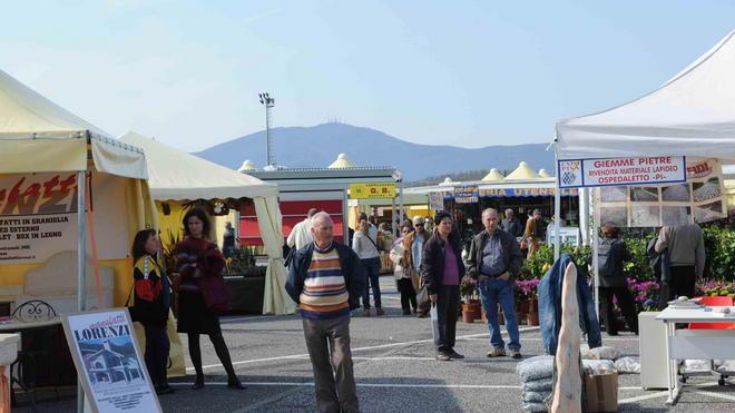 Cento espositori da domani al 13 a “NaturAmica”