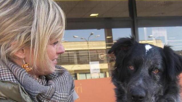 Lucky cerca ancora una famiglia