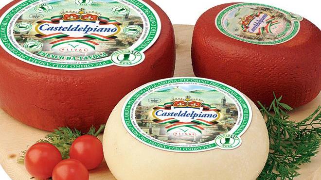 Ecco il pecorino che abbatte l’effetto serra