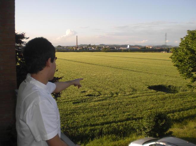 Avvistate strane figure disegnate nel grano 