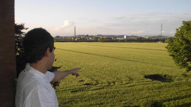 Avvistate strane figure disegnate nel grano