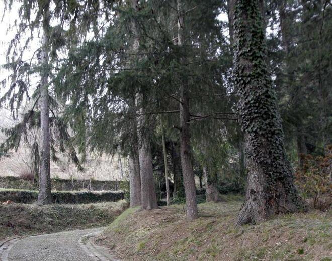 «Non ce la faccio più» e si impicca nel parco 