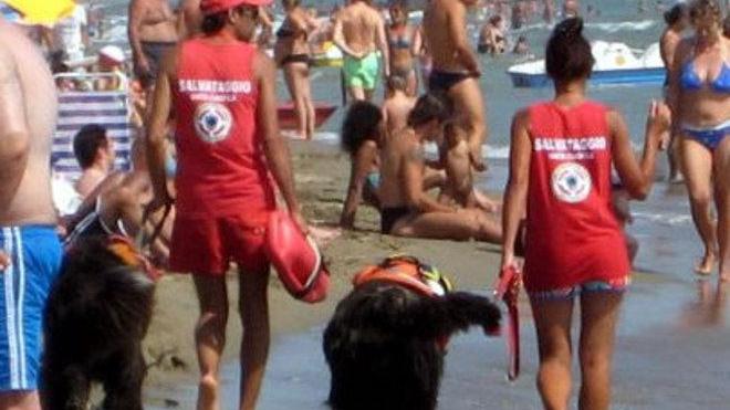 Sicurezza in mare via alle esercitazioni dei cani bagnino