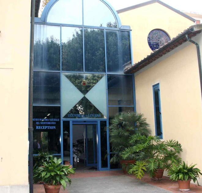 Domenica Livorno solidale in collegamento con l’Europa