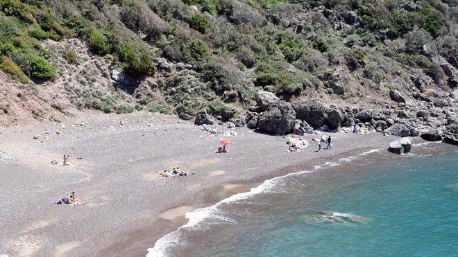 «Bene l’inizio di una nuova attività ma se non in regola se ne vadano»