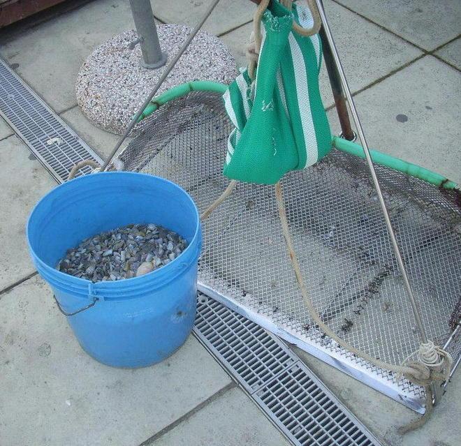 Sorpreso sul mare con 15 kg di arselle: multato pescatore