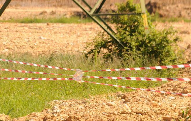 Vigili sequestrano un terreno accanto all’azienda Bama
