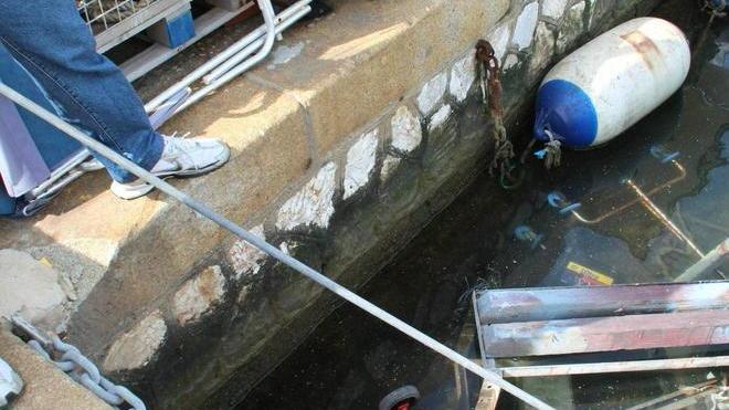 Filmati nella notte i vandali in azione al moletto «N.Sauro»