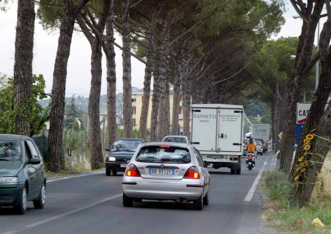 Pino crolla su un’auto in transito 
