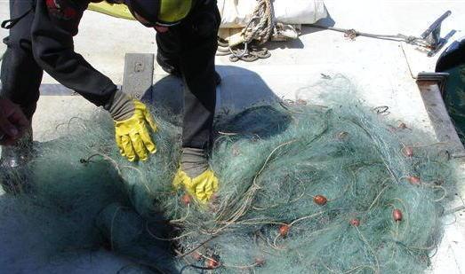Quattrocentro metri di rete sequestrati