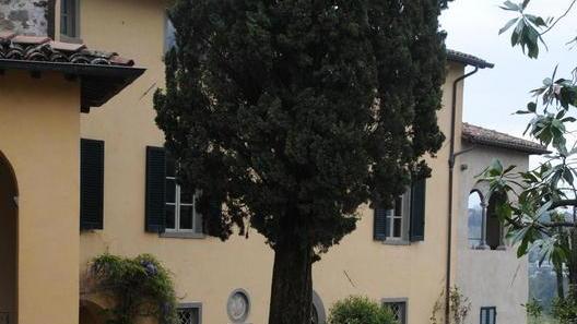 Pascoli a Barga, il film in anteprima al cinema Roma
