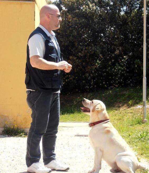 Per il cane un sorriso è aggressività 