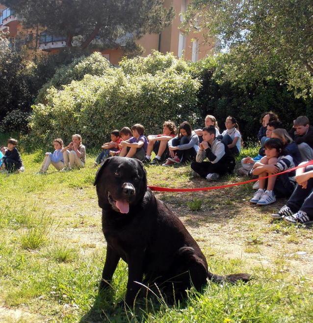 Alle Bartolena in cattedra salgono Max e Bobo 