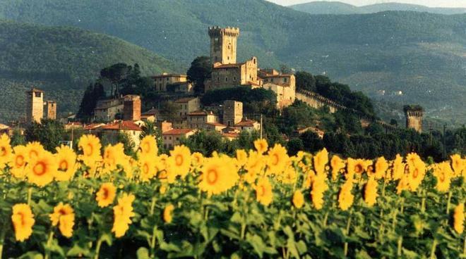 Vicopisano in fiore mostra mercato sul giardinaggio 