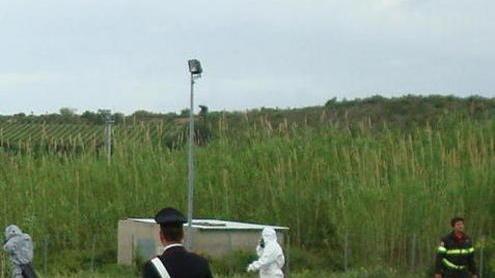 Finto pacco bomba in aeroporto