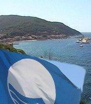 Raccolta dei rifiuti, servizi e segnaletica per candidarsi
