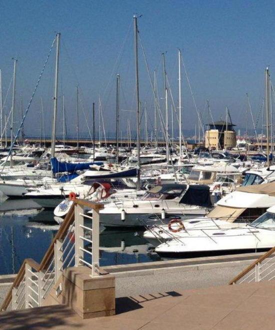 «Il porto di Scarlino ha futuro» 