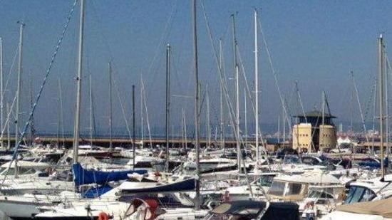 «Il porto di Scarlino ha futuro»