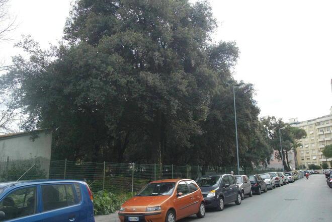 Basta un furgone e la strada si blocca. E per le emergenze? 